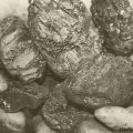 Каменный уголь Сортовой 50-300