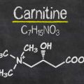 Что такое L-карнитин?