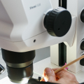 Какие микроскопы ZEISS используются в исследованиях РАН?