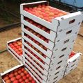 Коробка для томатов и персиков