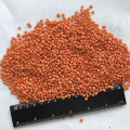 Red lentils wholesale