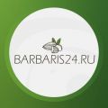 Интернет-магазин «Barbaris24. ru»