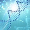 Генеалогическая компания «Археограф» и компания «ДНК-Наследие» договорились о партнерстве.