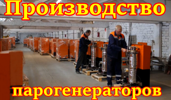 Парогенератор профессиональный 
