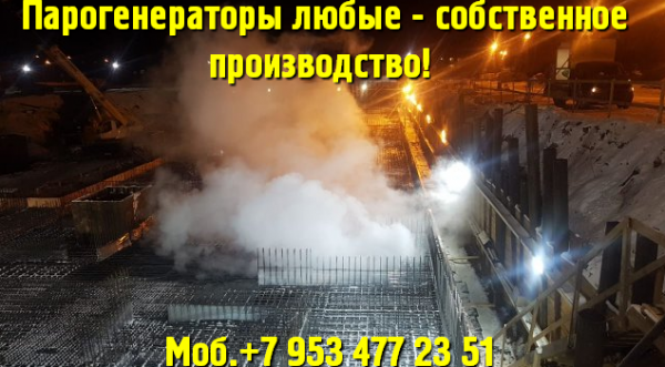 Строительный парогенератор цена 