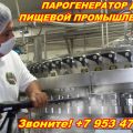 Парогенератор для пищевого производства