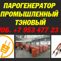 Парогенератор тэновый промышленный