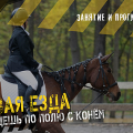 Подарочный сертификат конную прогулку