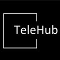 ООО TeleHub