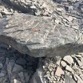 Валун серо-зеленый песчаник Ростовский
