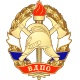 Всероссийское Добровольное Пожарное Общество (ВДПО)