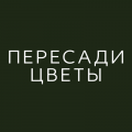 Магазин комнатных растений «Пересади Цветы»