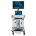 Siemens Acuson S2000