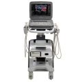 Siemens Acuson P500