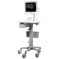 Siemens Acuson Freestyle