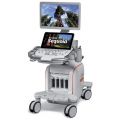 Siemens Acuson Sequoia