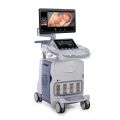 GE Healthcare Voluson E6
