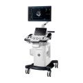 GE Healthcare Vivid T8