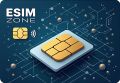 Компания «EsimZone»