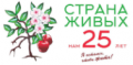 Реабилитация при зависимости от мефедрона