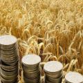 Хорошие новости по субсидированию сельского хозяйства в Татарстане.